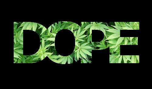 Dope Weed Google Search We Heart It
