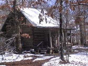 Snow Cabin Christmas Tree Lights Pines Winter Deer