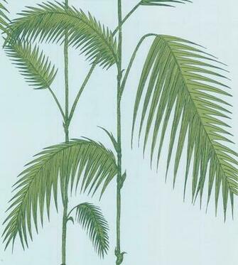 Palm Leaves Wallpaper By Cole Son Jane Clayton