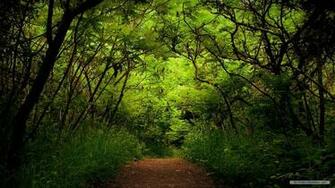 Wallpaper Nature Ps Landscape