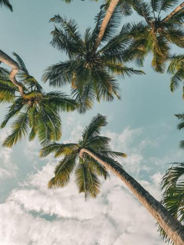 Summer Aesthetic Pictures Image