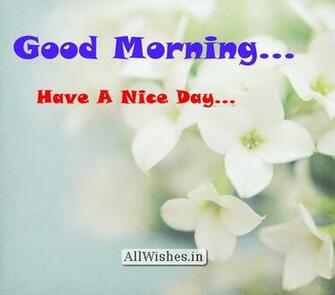 New Good Morning Wallpaper On Flowers Image Have A