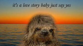 Sloth Sunglasses Wallpaper Week Of R Sloths