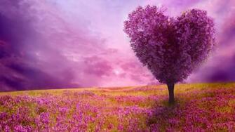 Spring Desktop Wallpaper HD Net