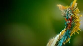 Windows HD Wallpaper Html