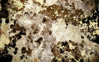 Dirty Wallpaper Top Collections Of Pictures Image
