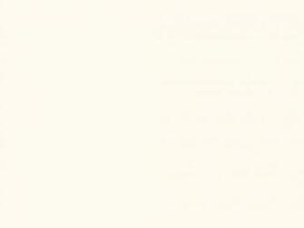 White Solid Color Background And The Below