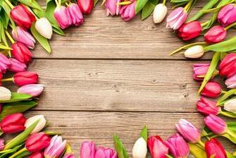 Mother S Day Wallpaper Holiday Hq Pictures 4k