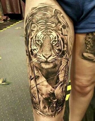 Tiger Important Background Tattoo