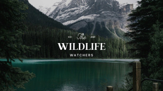 Minimalist Photo Nature Banner Templates By