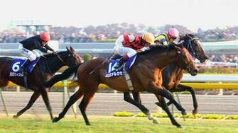 Horse Racing Wallpaper Pictures Image