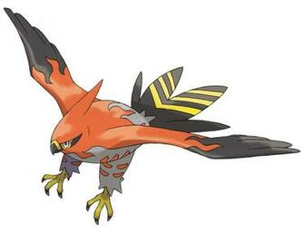 Talonflame HD Wallpaper On