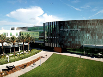 University Of South Florida Marshall Student Center Bbjr6p44vjno1xx8 Wallpaper
