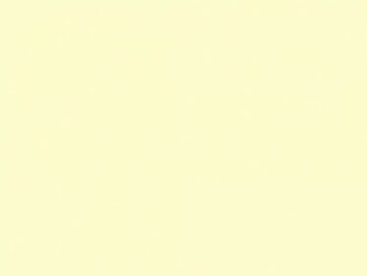 Cream Solid Color Background And The Below