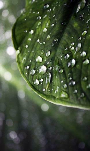 Wallpaper S8500 Wave Mobile Phone Samsung Themes