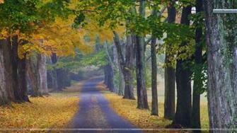 Journey Into Fall Louisville Kentucky Wallpaper