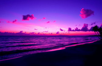 Purple Beach Wallpaper