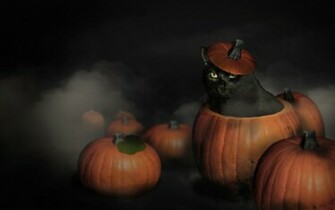 Naughty Black Cat Wallpaper Comics Desktop Background Cartoon