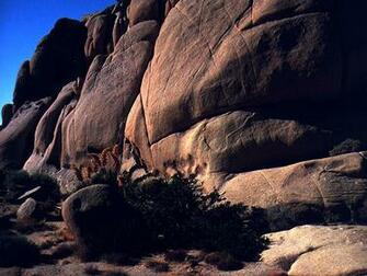 Wallpaper Beauties Of Wild Places