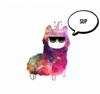 Llamacorn Real Wallpaper At Wallpaperbro