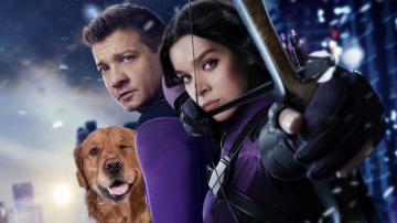 Hawkeye HD Wallpaper And Background
