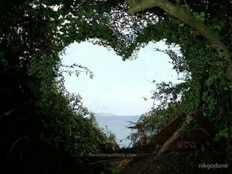 Love Wallpaper In Nature Only Sweet Angel