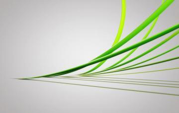 Wallpaper Green Grey Lines Image For Desktop Section