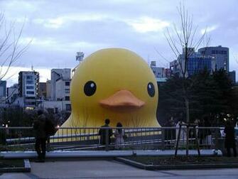 Giant Rubber Duck By Nicojay