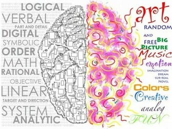 Left Brain Right Wallpaper