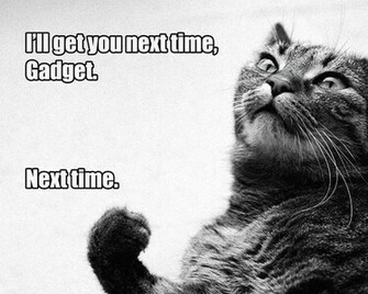 Cats Quotes Inspector Gadget Wallpaper
