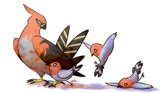 Talonflame And Fletchling By Pidoodle
