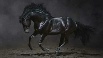 Dark Horse Wallpaper