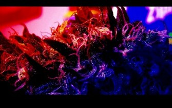 Trippy Rainbows HD Wallpaper Car Pictures