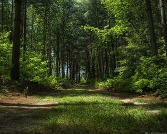 Outdoors Wallpaper