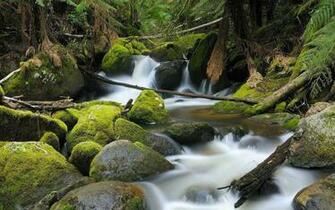 Nature HD Wallpaper Landscape