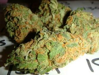 Retina Weed HD Wallpaper For iPhone Fruski Board