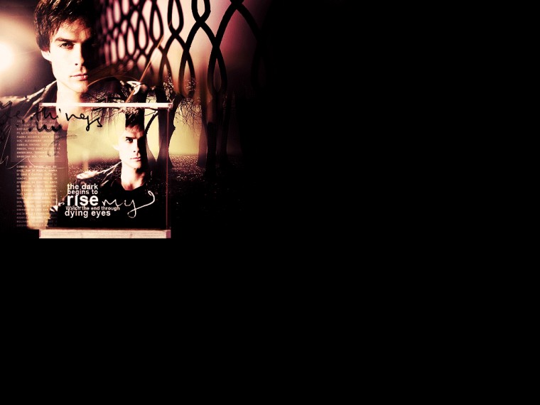 Damon Salvatore The Vampire Diaries Wallpaper