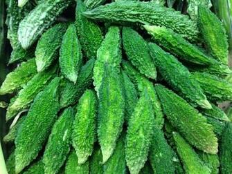 Best Green Bitter Melon Wallpaper Image