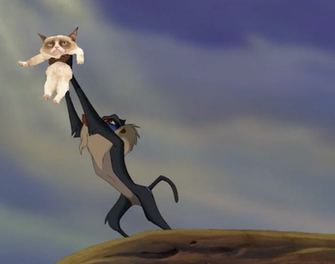 S Reaction To Grumpy Cat Lurker All Image
