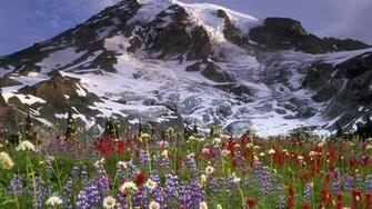 Wallpaper Proslut Full Size Ice Mountains Forest HD Nature Background