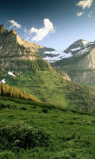 Imagenes De Paisajes Naturales Con Movimiento Android iPad iPhone Car
