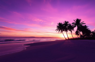 Purple Beach Wallpaper