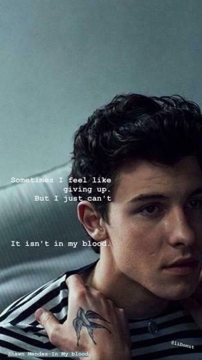 Shawn Mendes Wallpaper Aesthetic In My Blood Kpop