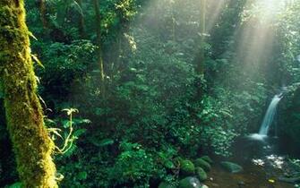 Monteverde Desktop Pc And Mac Wallpaper