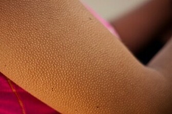 Goose Bumps Wallpaper Jpg