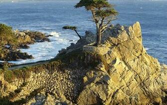 Url Zastavki Eng World Usa Wallpaper Htm