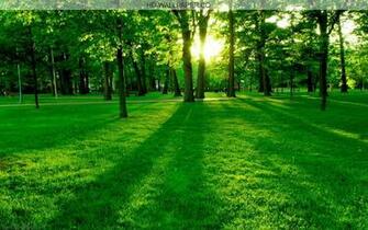 HD Wallpaper High Definition 1080p Quality Wallpoop The