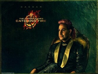 The Hunger Games Catching Fire Wallpaper