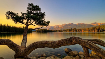 Minimalist Nature Wallpaper Photography