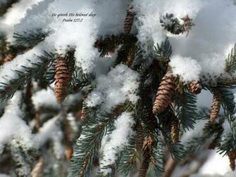 Winter Desktop Background Wallpaper Scenic